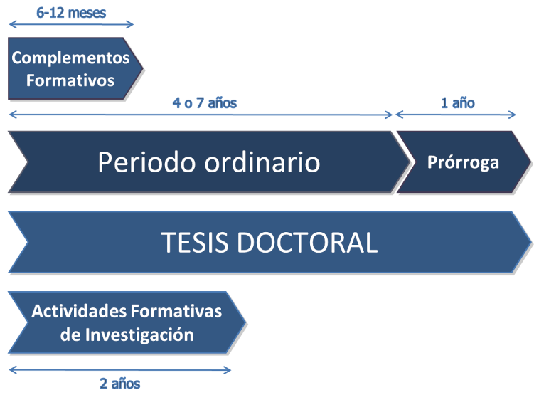 Complementos de formación: 6-12 meses; Actividades Formativas: 2 años; Tesis Doctoral: 4 o 7 años (+1 prórroga)
